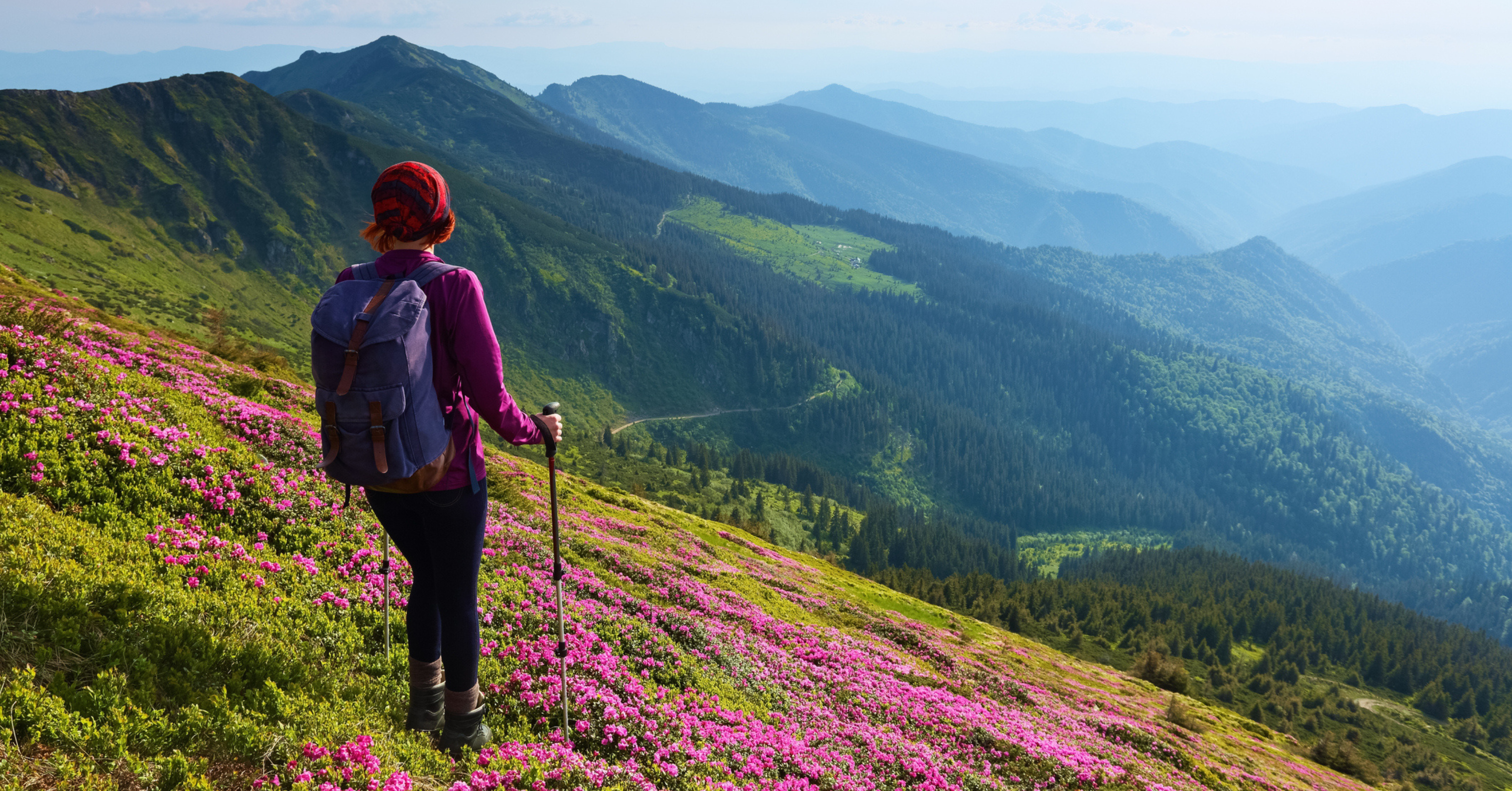 Untitled 3249 X 1700 Px 2