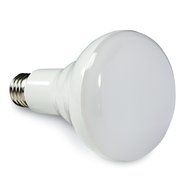 BR30 LED Lamp